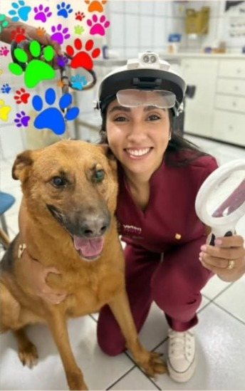 Carinho com os pets na Suzanvet