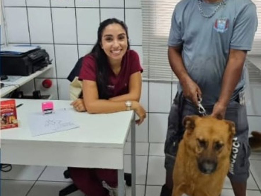 Atendimento na Suzanvet